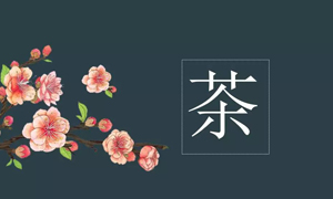 918ֹ֮˲Ӫҵչڲ֪ʶѵ